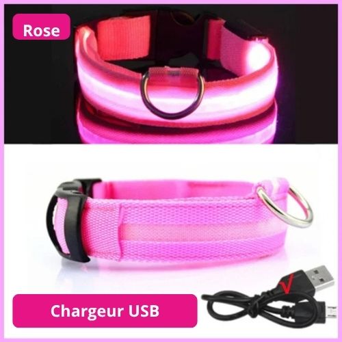 Collier lumineux de sécurité pour animaux