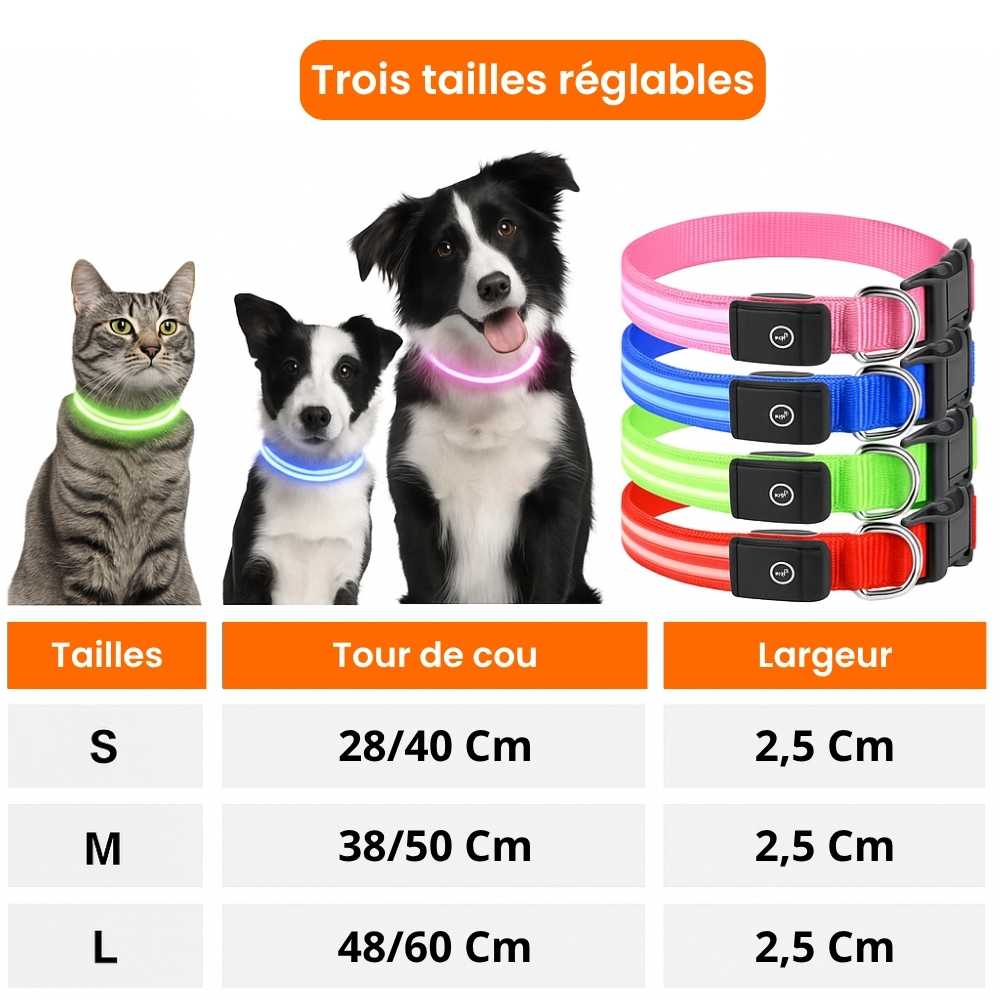 Collier lumineux de sécurité pour animaux