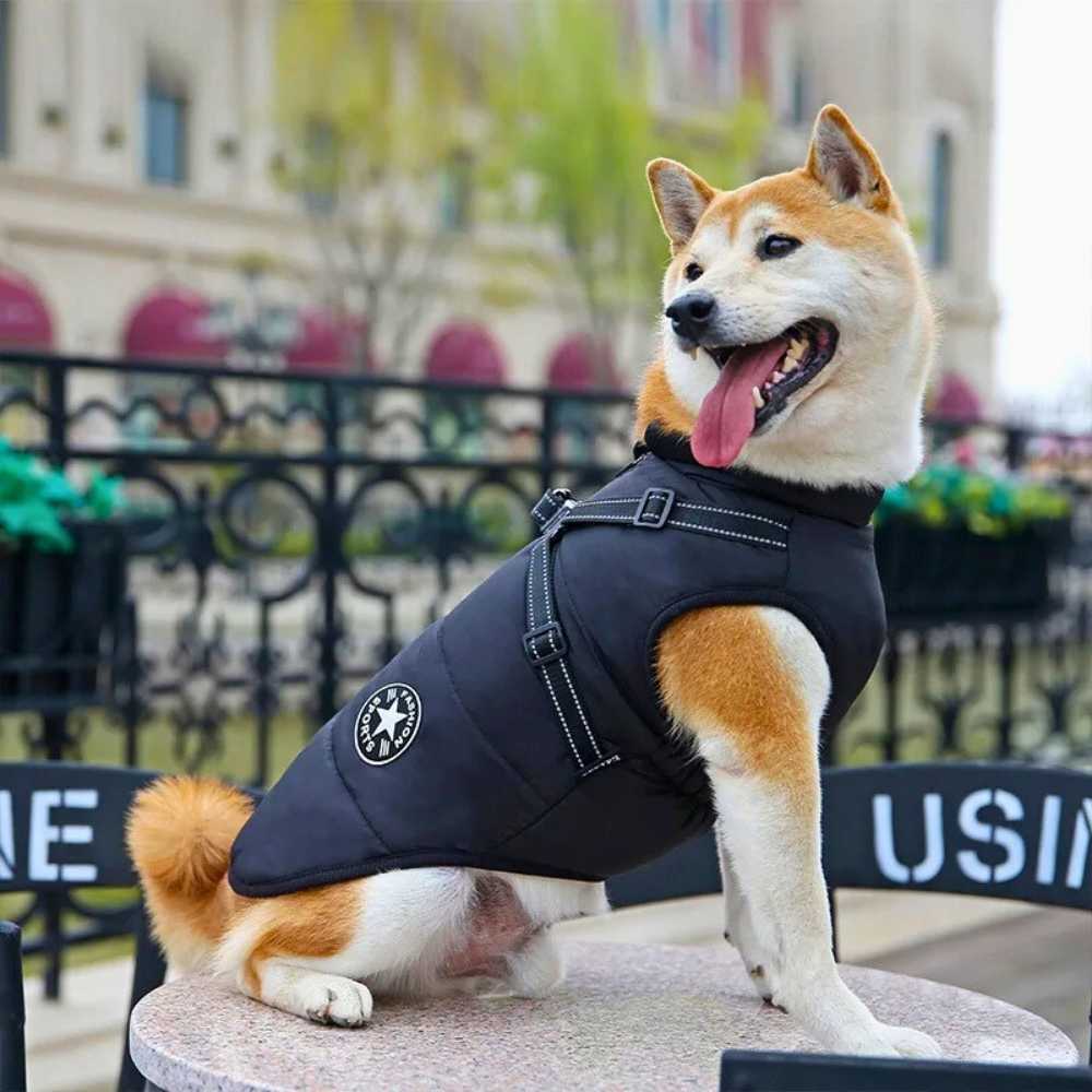 Doudoune fashion pour chien