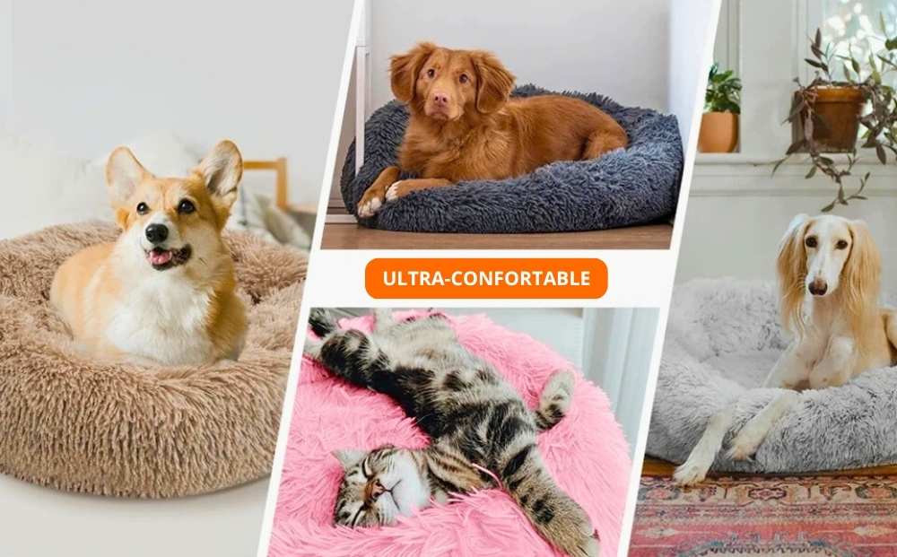 Coussin moelleux ultra-confort premium
