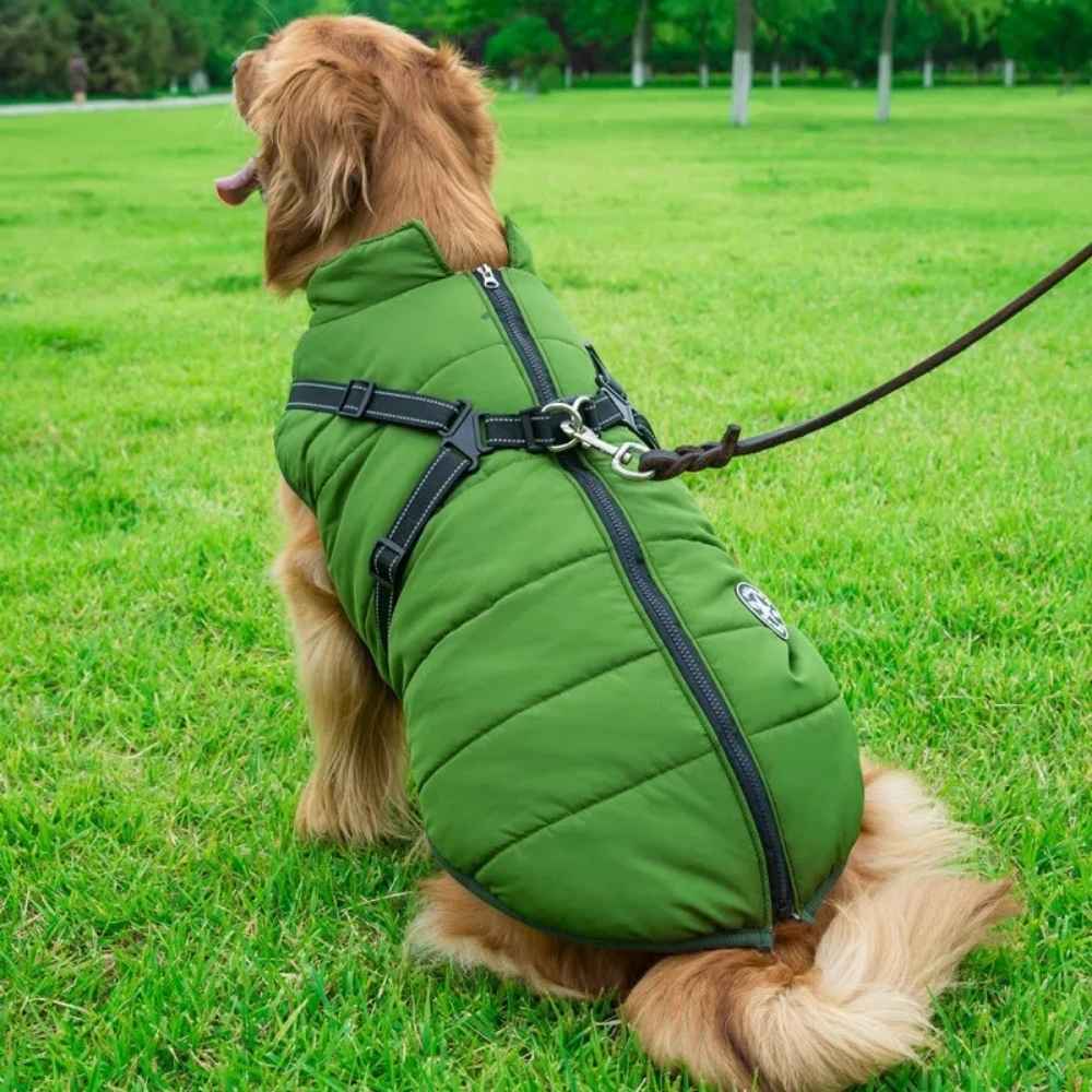 Doudoune fashion pour chien