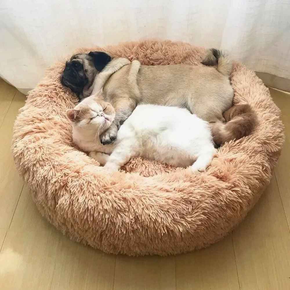 Coussin moelleux ultra-confort premium