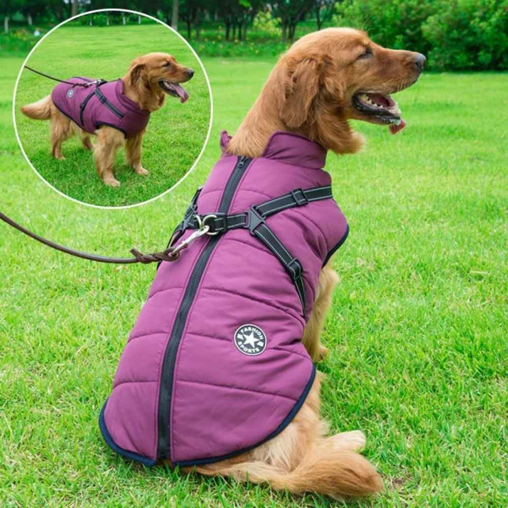 Doudoune fashion pour chien