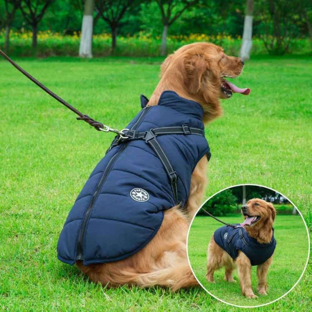 Doudoune fashion pour chien
