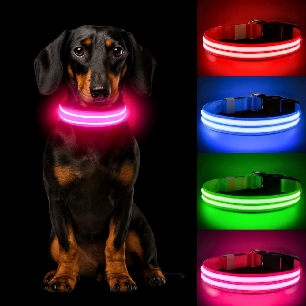 Collier lumineux de sécurité pour animaux