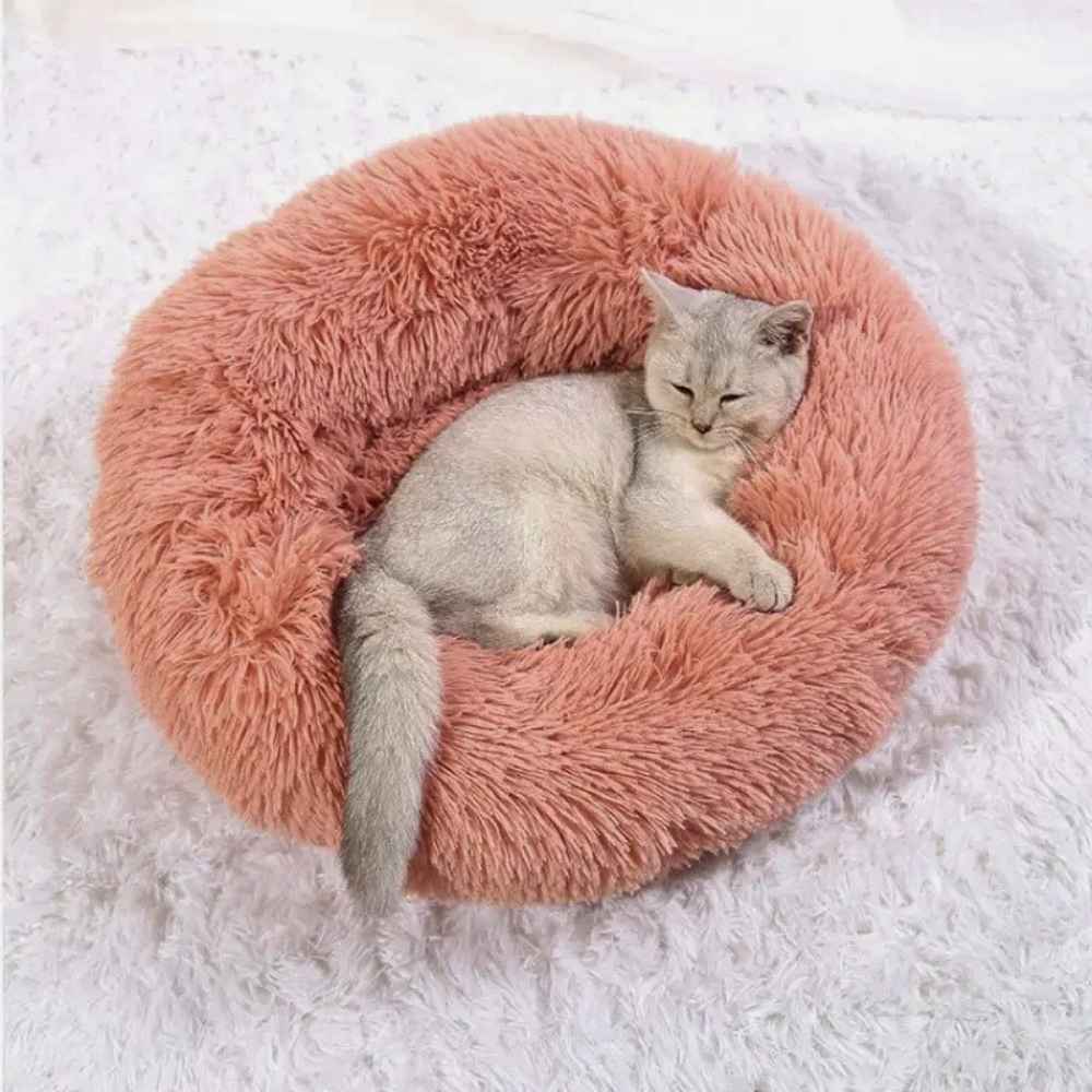 Coussin moelleux ultra-confort premium