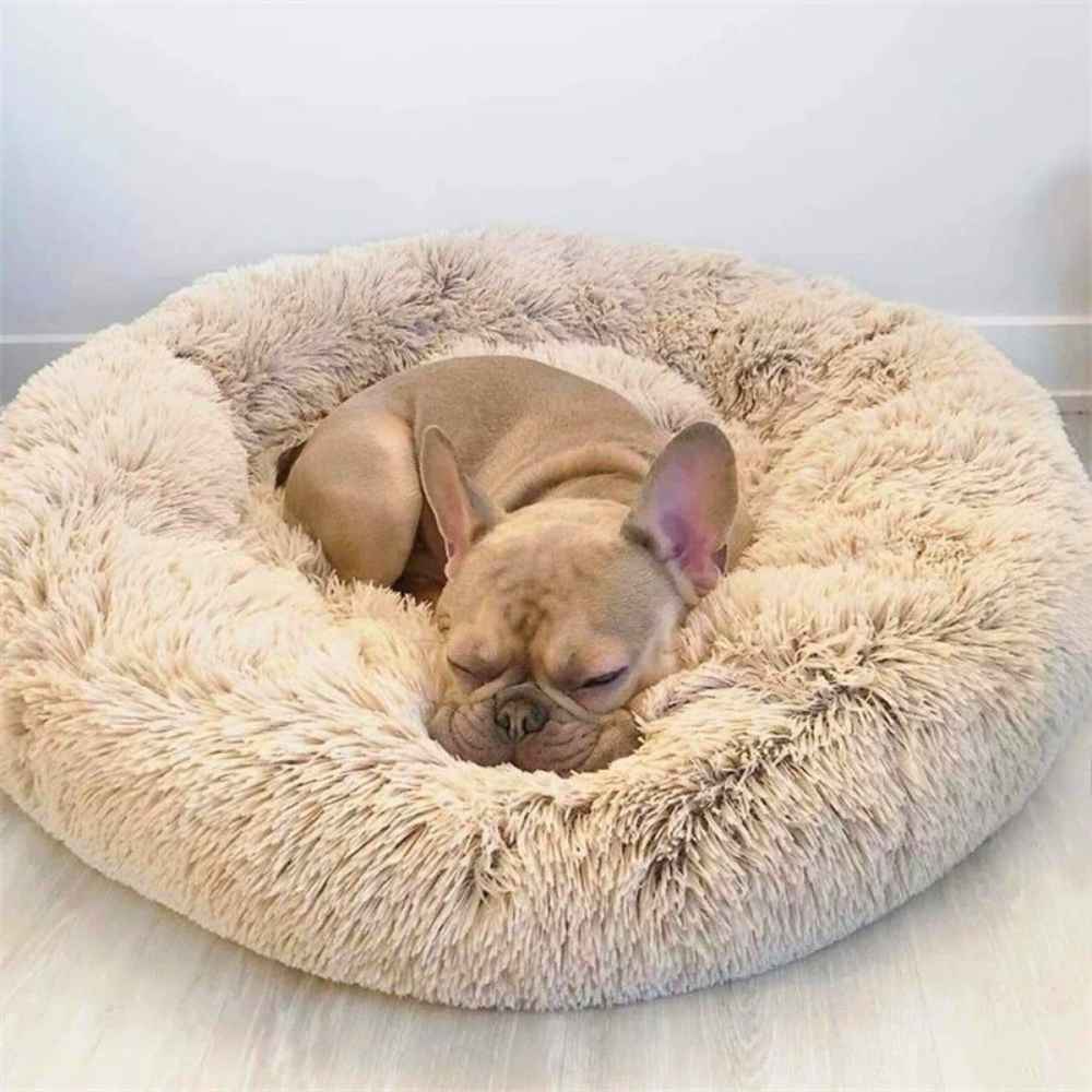 Coussin moelleux ultra-confort premium