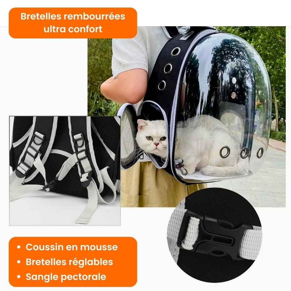 Sac à dos transparent pour animaux, transport stylé et aéré