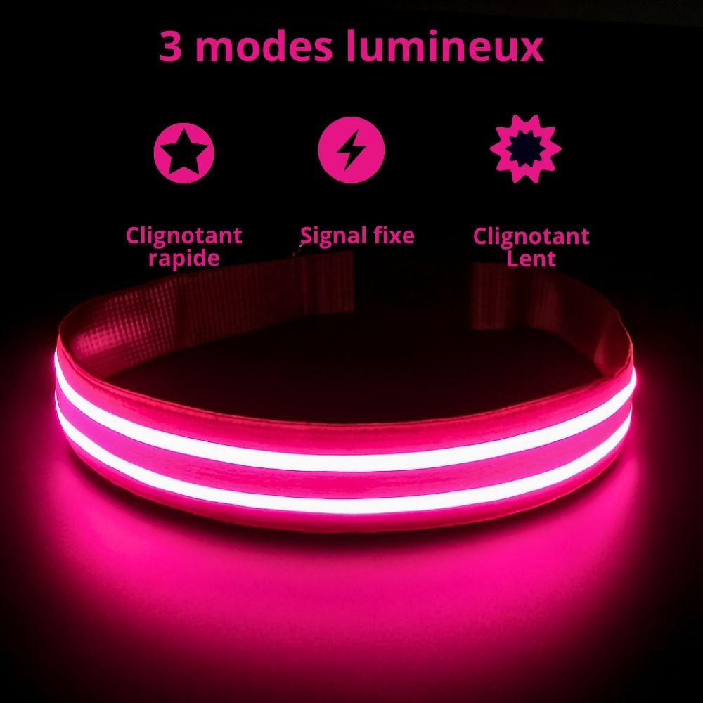 Collier lumineux de sécurité pour animaux
