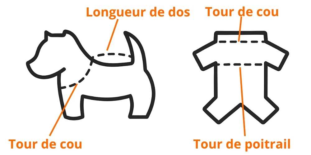 Doudoune fashion pour chien