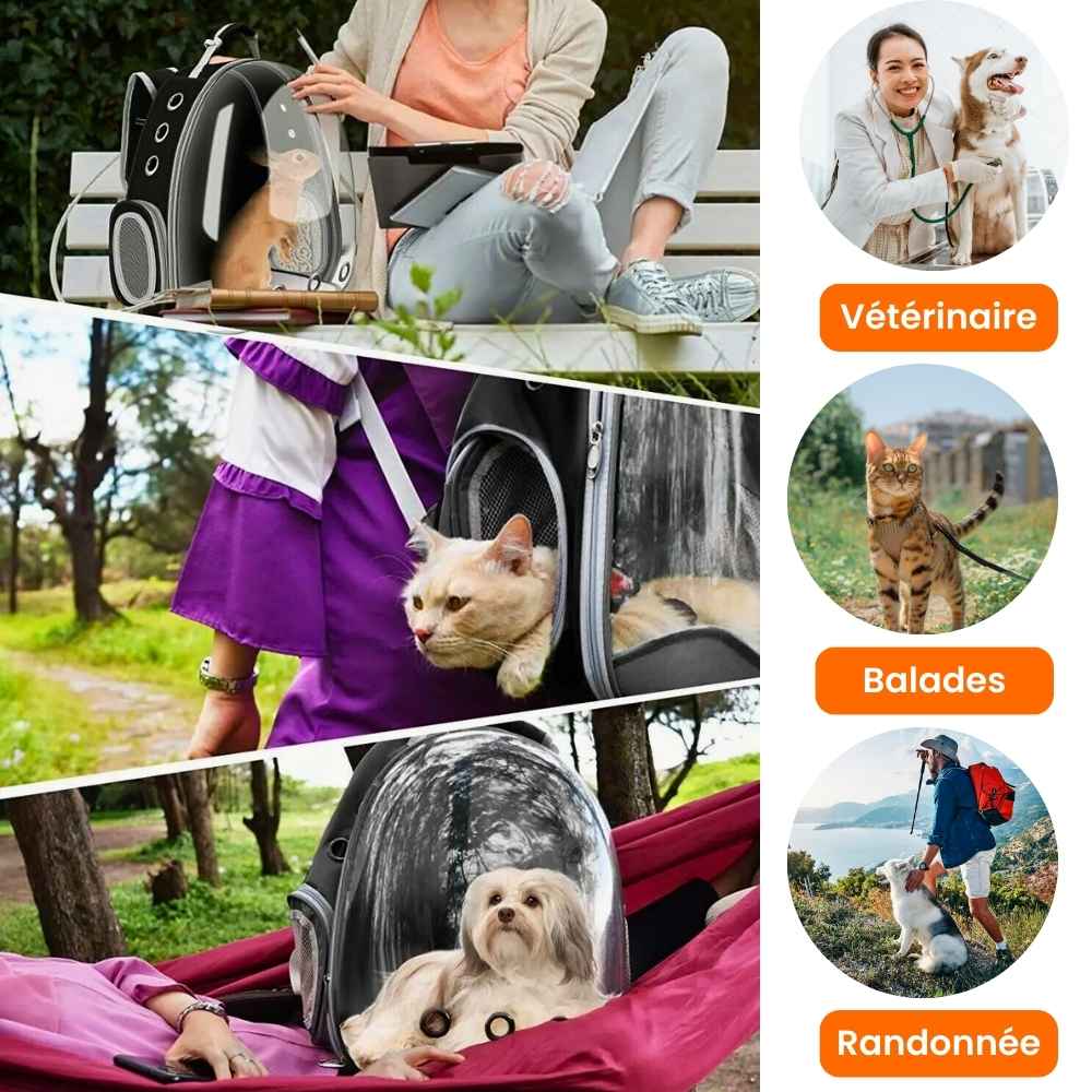 Sac à dos transparent pour animaux, transport stylé et aéré