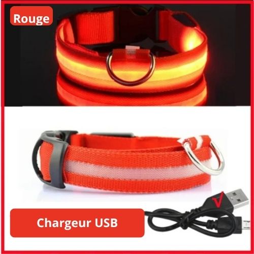 Collier lumineux de sécurité pour animaux