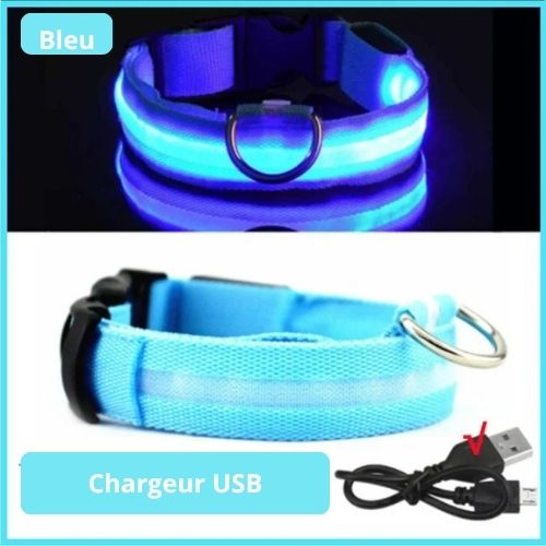 Collier lumineux de sécurité pour animaux