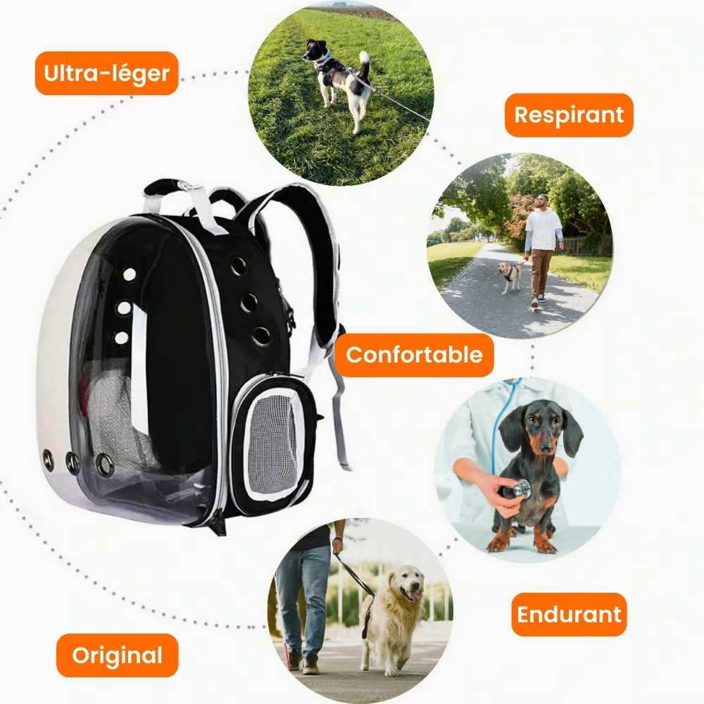 Sac à dos transparent pour animaux, transport stylé et aéré