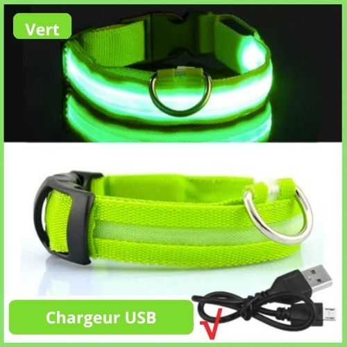 Collier lumineux de sécurité pour animaux