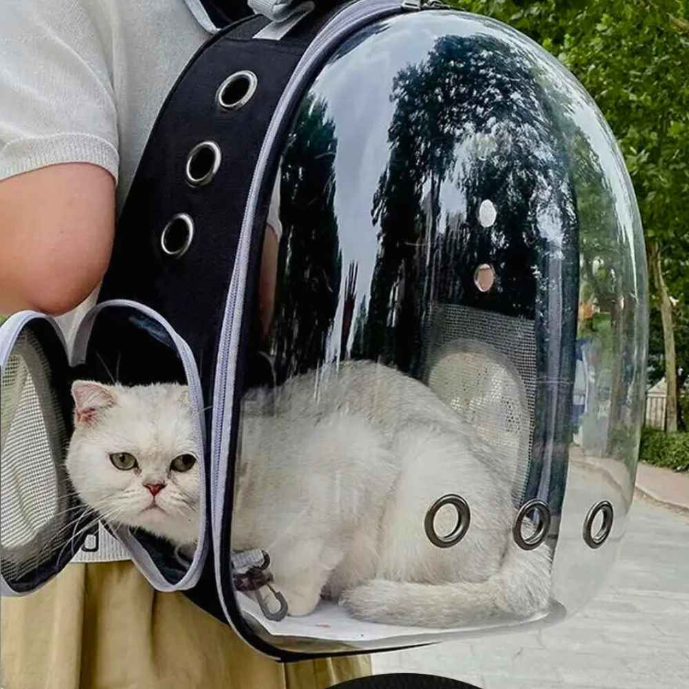 Sac à dos transparent pour animaux, transport stylé et aéré